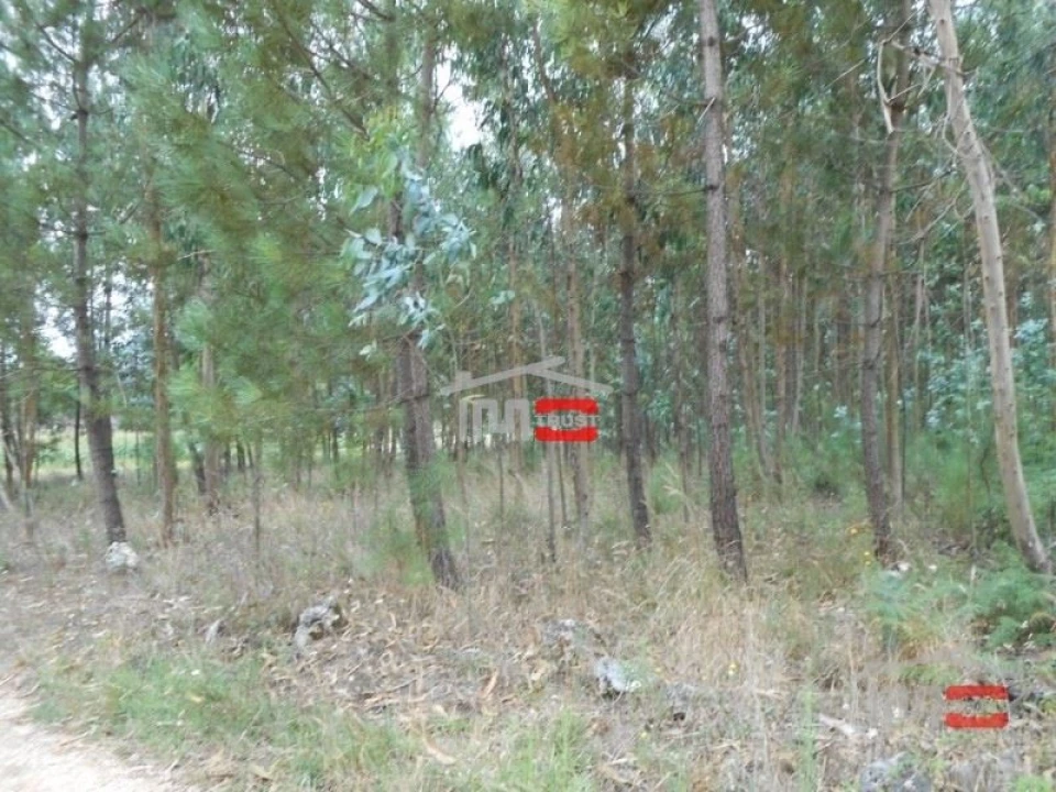 Terreno Misto para Venda em Santa Catarina da Serra e Chainça Foto 6