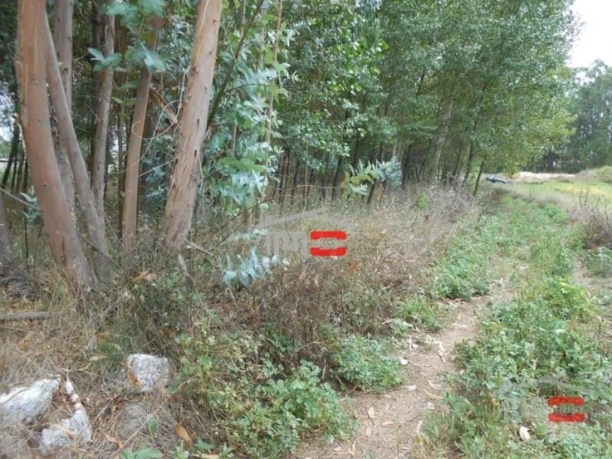 Terreno Misto para Venda em Santa Catarina da Serra e Chainça Foto 1