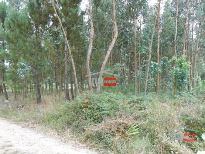 Terreno Misto para Venda em Santa Catarina da Serra e Chainça Foto 2