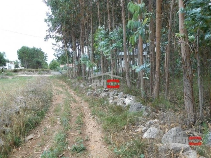 Terreno Misto para Venda em Santa Catarina da Serra e Chainça Foto 4