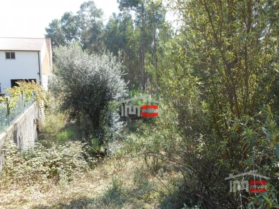 Terreno Misto para Venda em Nossa Senhora da Piedade Foto 3