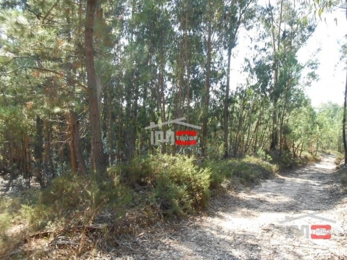 Terreno Misto para Venda em Nossa Senhora da Piedade Foto 4
