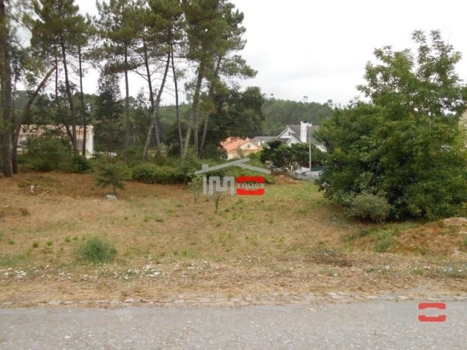 Terreno Misto para Venda em São Mamede Foto 6