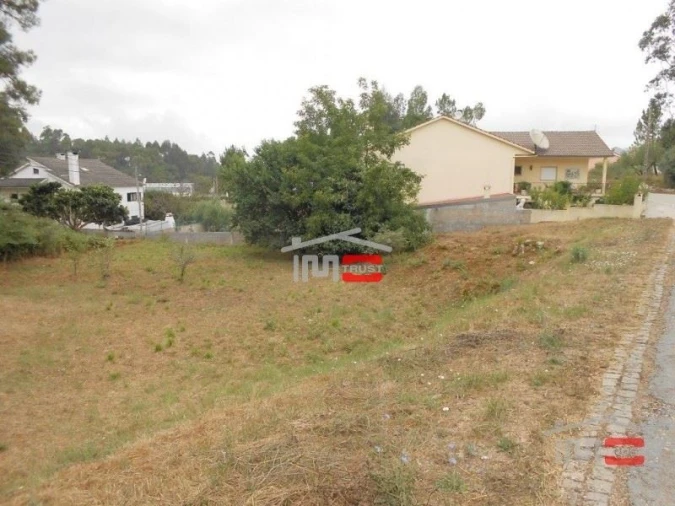 Terreno Misto para Venda em São Mamede Foto 1