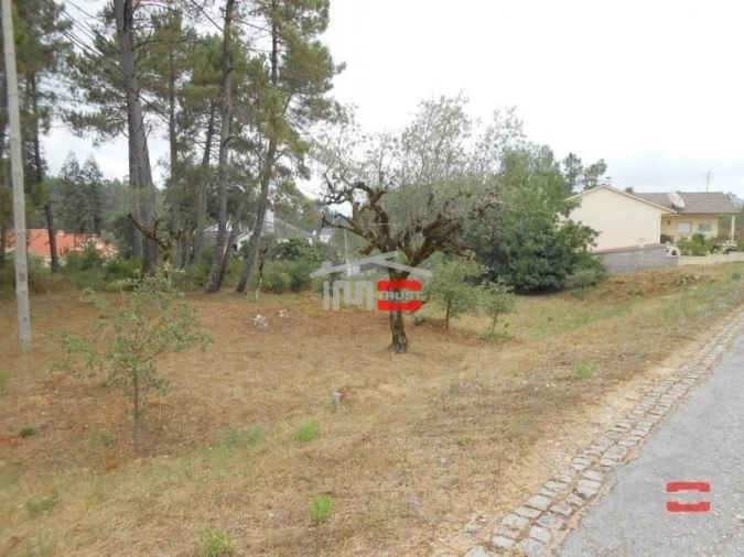 Terreno Misto para Venda em São Mamede Foto 2
