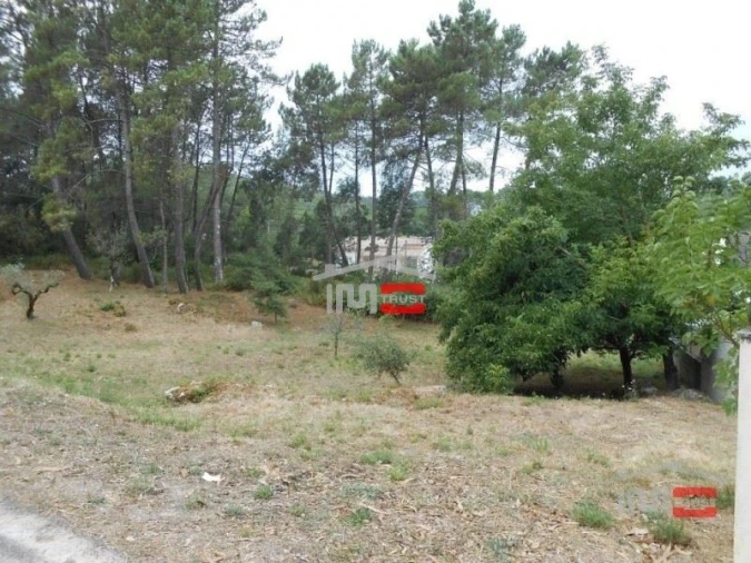 Terreno Misto para Venda em São Mamede Foto 9