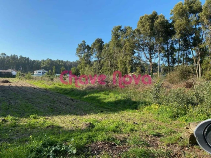 Terreno para Venda em Moledo e Cristelo Foto 3