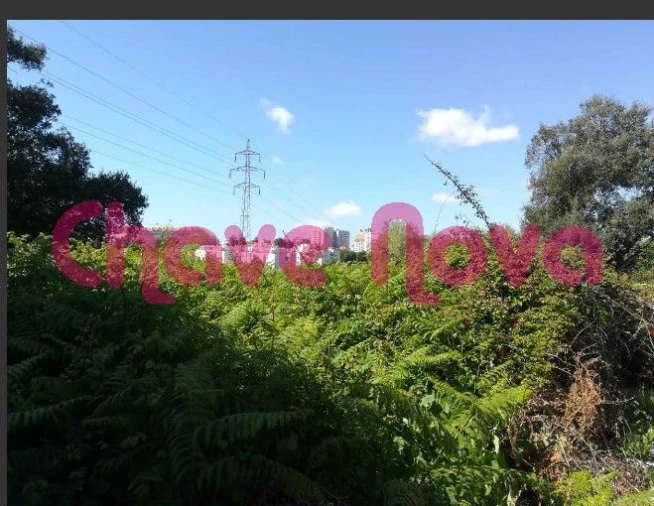 Terreno para Venda em Arcozelo Foto 2