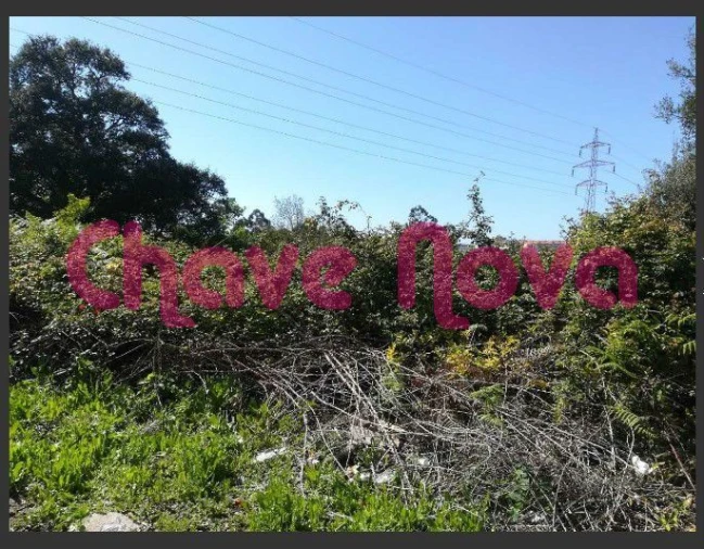 Terreno para Venda em Arcozelo Foto 4