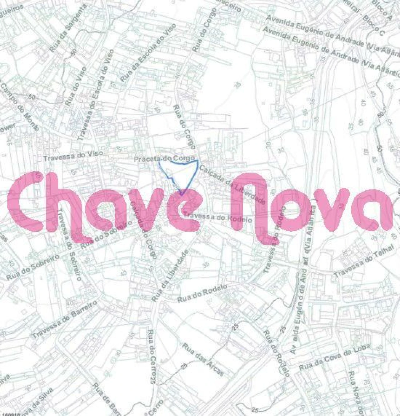 Terreno Misto para Venda em Canidelo Foto 5