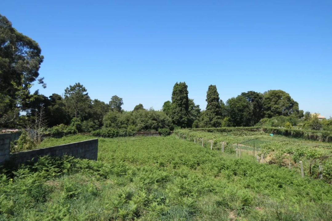 Terreno para Venda em Canelas Foto 1