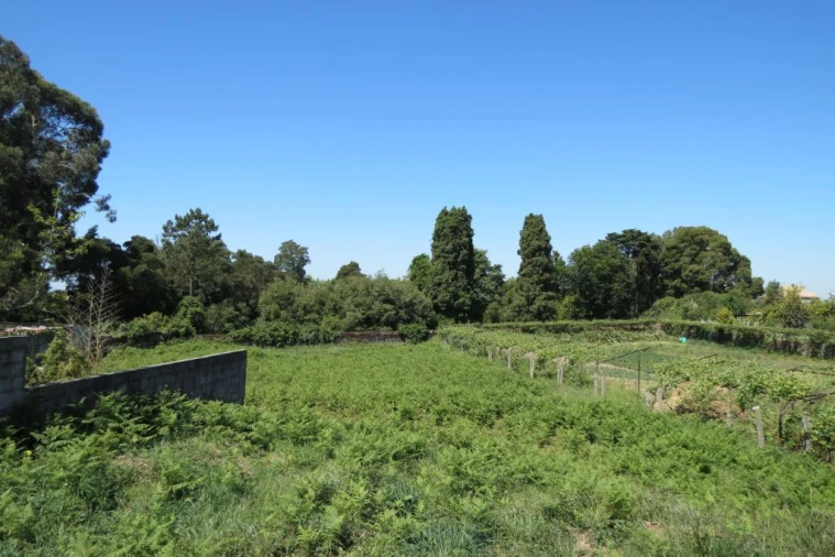 Terreno para Venda em Canelas Foto 1