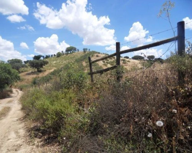 Terreno Misto para Venda em Ourique Foto 6