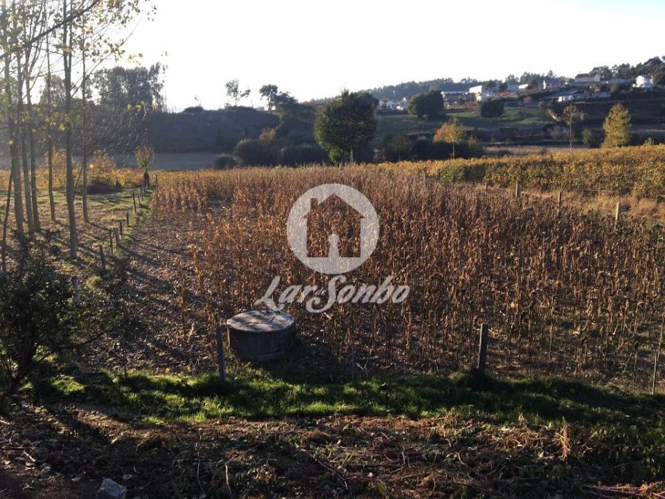Terreno Misto para Venda em Cristelos, Boim e Ordem Foto 1