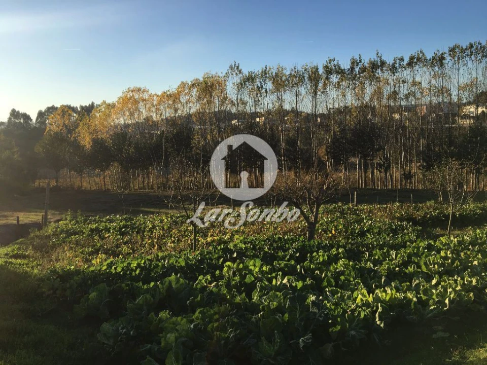 Terreno Misto para Venda em Cristelos, Boim e Ordem Foto 4