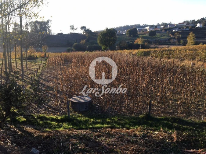 Terreno Misto para Venda em Cristelos, Boim e Ordem Foto 1