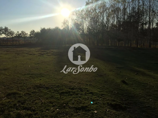 Terreno Misto para Venda em Cristelos, Boim e Ordem Foto 5