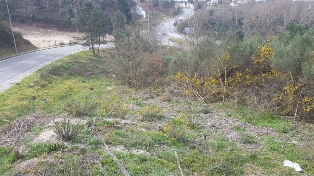Terreno Misto para Venda em Marco Foto 4