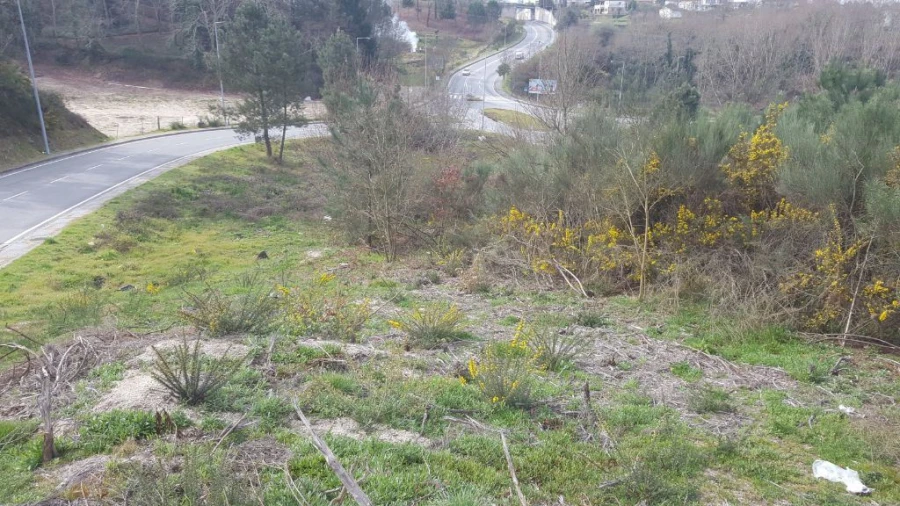Terreno Misto para Venda em Marco Foto 4