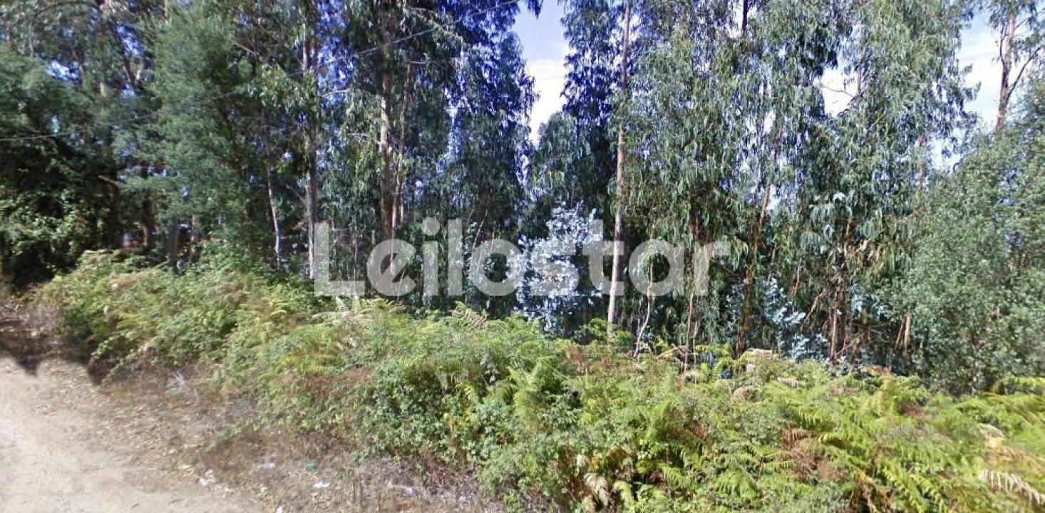 Terreno Agricola ou Rústico para Venda em Arcozelo Foto 2