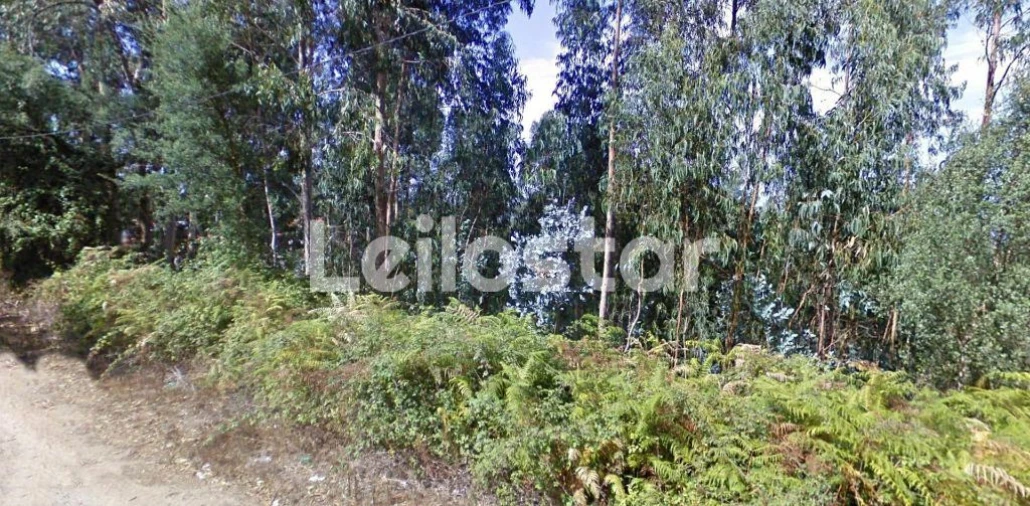 Terreno Agricola ou Rústico para Venda em Arcozelo Foto 2