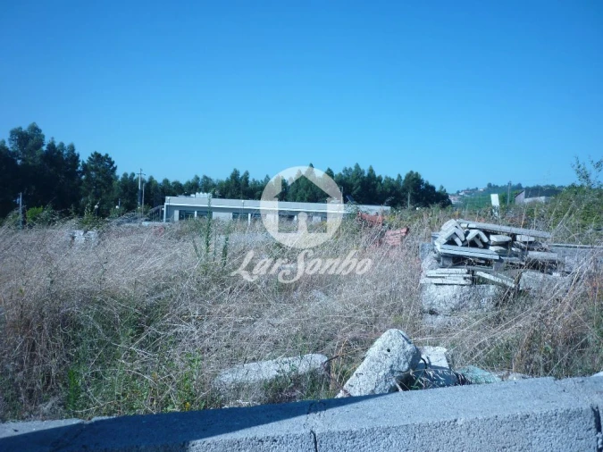 Terreno Misto para Venda em Vilar do Torno e Alentem Foto 4