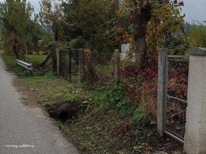 Terreno Agricola ou Rústico para Arrendamento em Ribeira do Neiva Foto 4
