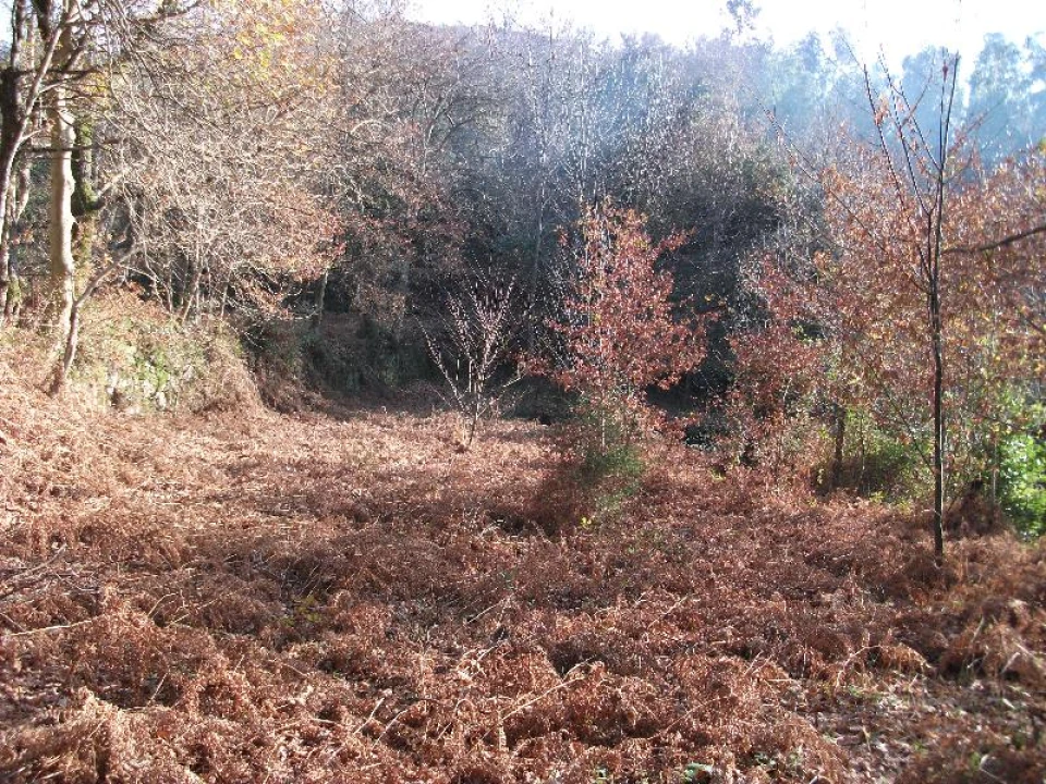 Terreno Agricola ou Rústico para Venda em Ventosa e Cova Foto 2