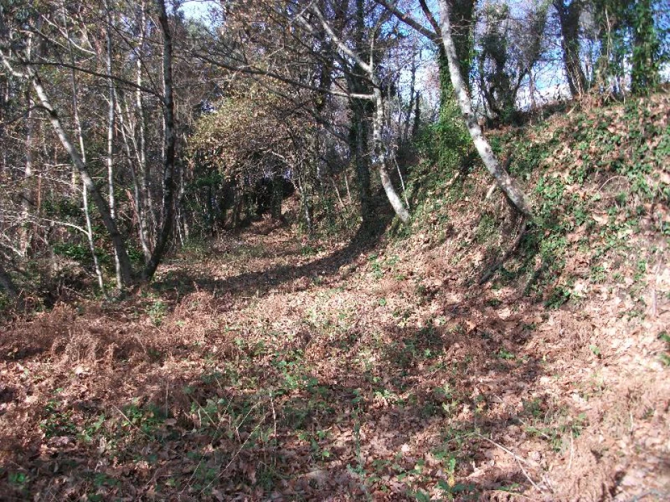 Terreno Agricola ou Rústico para Venda em Ventosa e Cova Foto 3