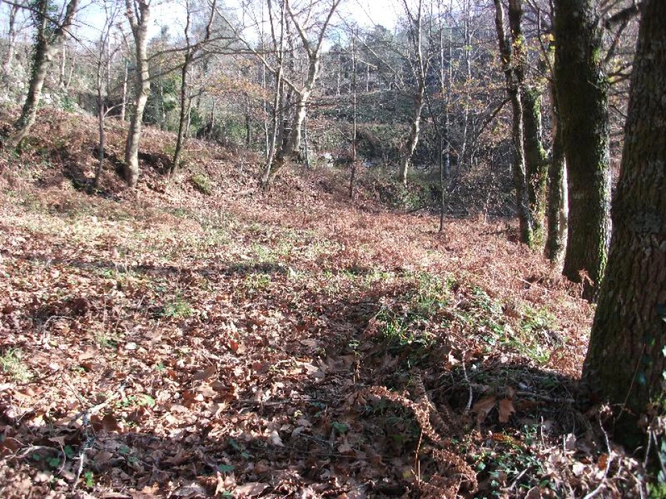 Terreno Agricola ou Rústico para Venda em Ventosa e Cova Foto 4