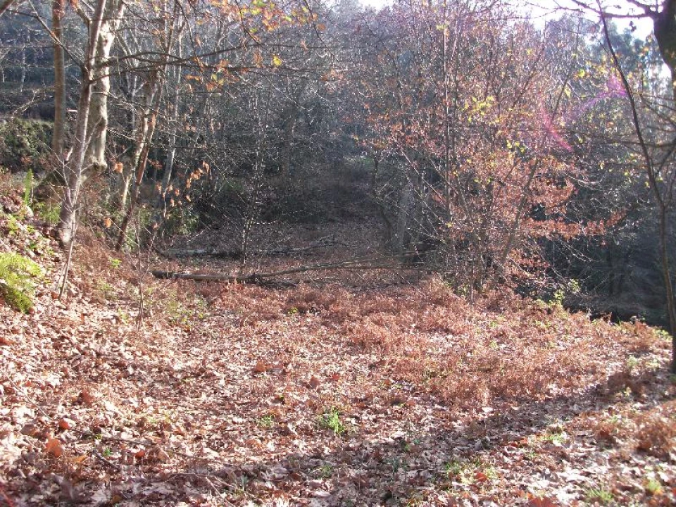 Terreno Agricola ou Rústico para Venda em Ventosa e Cova Foto 6