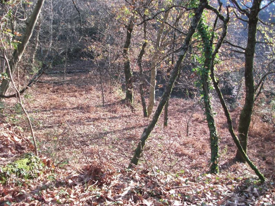 Terreno Agricola ou Rústico para Venda em Ventosa e Cova Foto 7