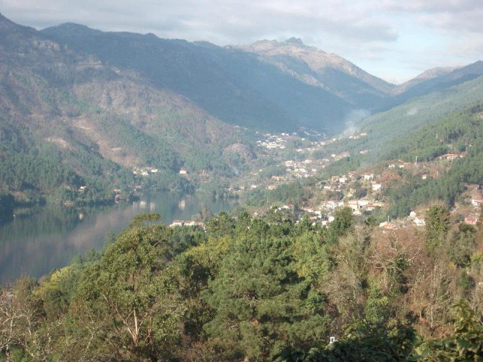 Terreno Agricola ou Rústico para Venda em Ventosa e Cova Foto 8