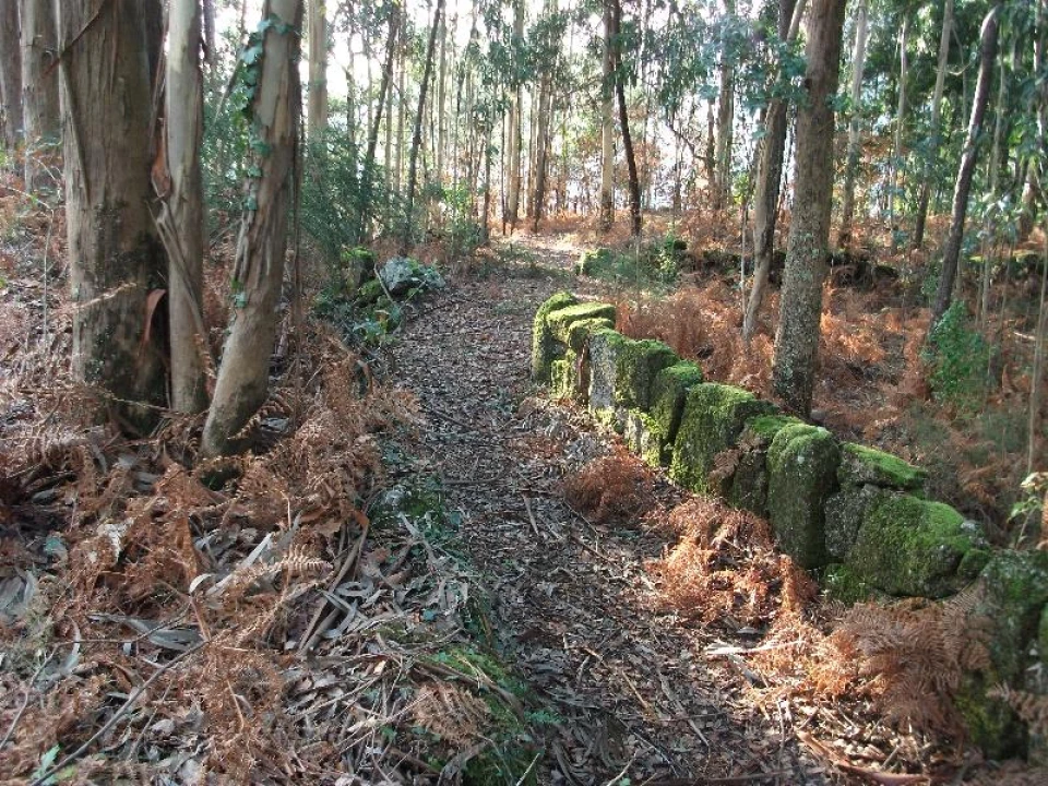 Terreno Agricola ou Rústico para Venda em Ventosa e Cova Foto 9