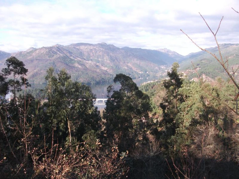 Terreno Agricola ou Rústico para Venda em Ventosa e Cova Foto 12