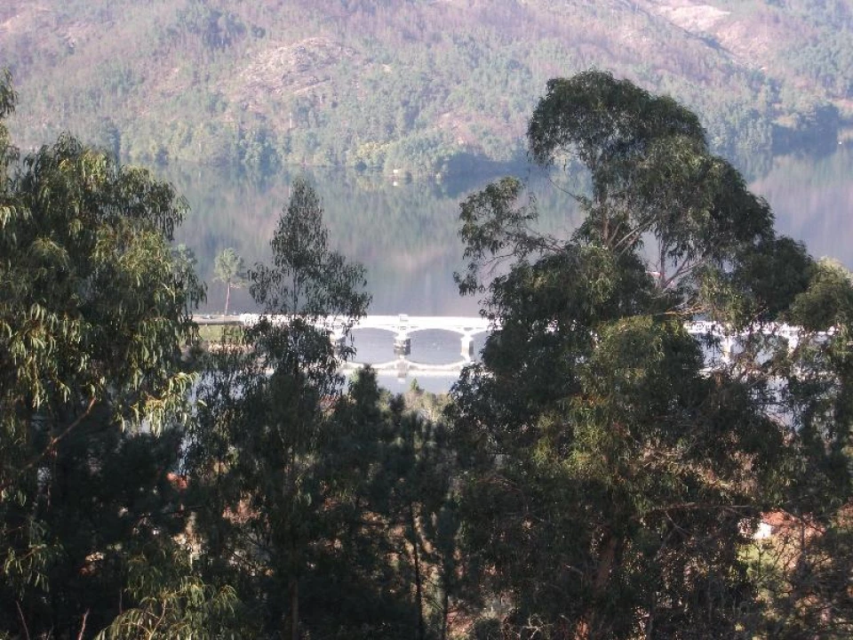 Terreno Agricola ou Rústico para Venda em Ventosa e Cova Foto 13