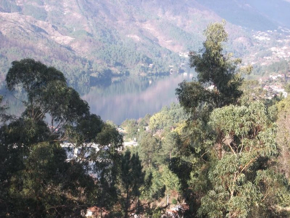 Terreno Agricola ou Rústico para Venda em Ventosa e Cova Foto 14