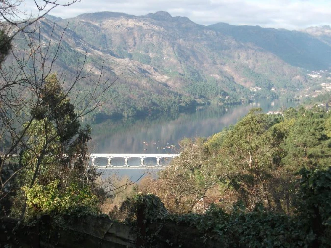 Terreno Agricola ou Rústico para Venda em Ventosa e Cova Foto 1