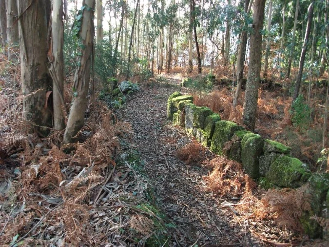 Terreno Agricola ou Rústico para Venda em Ventosa e Cova Foto 9