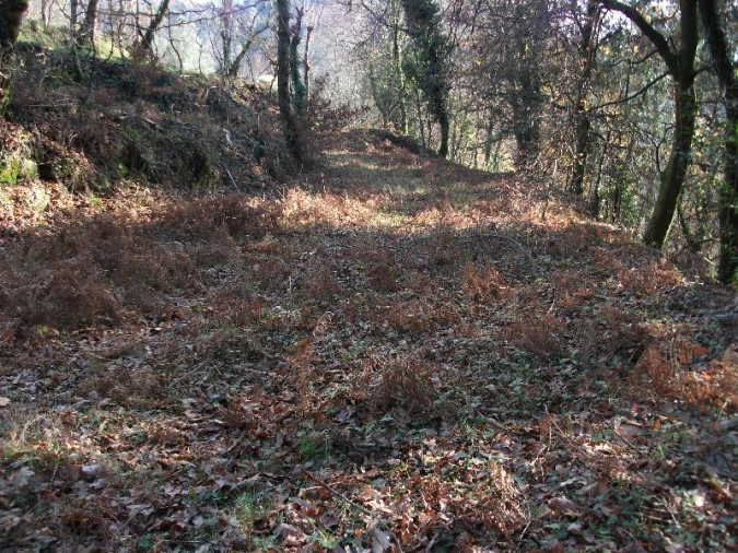 Terreno Agricola ou Rústico para Venda em Ventosa e Cova Foto 10