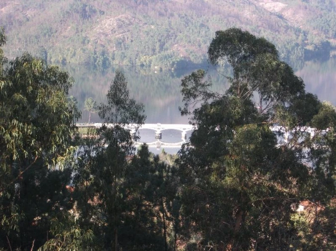 Terreno Agricola ou Rústico para Venda em Ventosa e Cova Foto 13