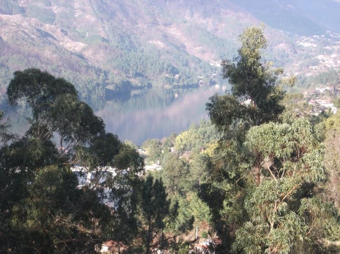 Terreno Agricola ou Rústico para Venda em Ventosa e Cova Foto 14