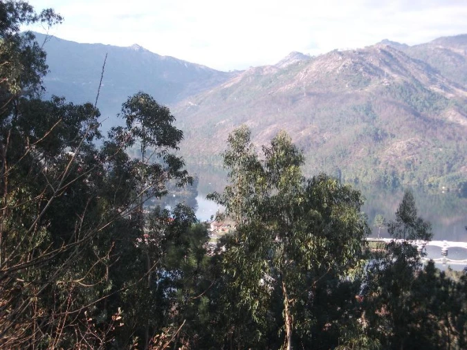 Terreno Agricola ou Rústico para Venda em Ventosa e Cova Foto 15