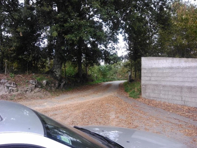 Terreno Agricola ou Rústico para Venda em Taide Foto 4