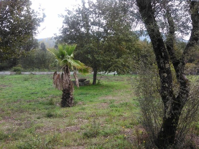 Terreno Agricola ou Rústico para Venda em Taide Foto 6