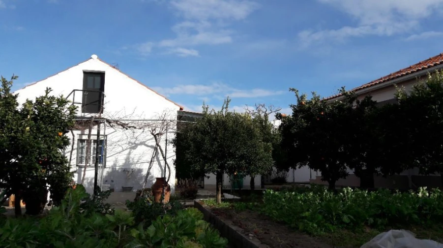 Moradia T3 para Venda em Santo Antonio das Areias Foto 3