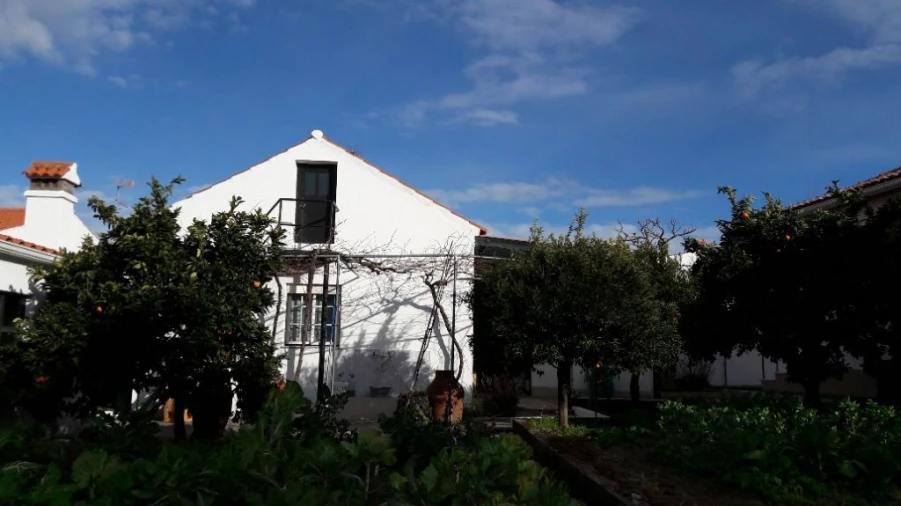 Moradia T3 para Venda em Santo Antonio das Areias Foto 4