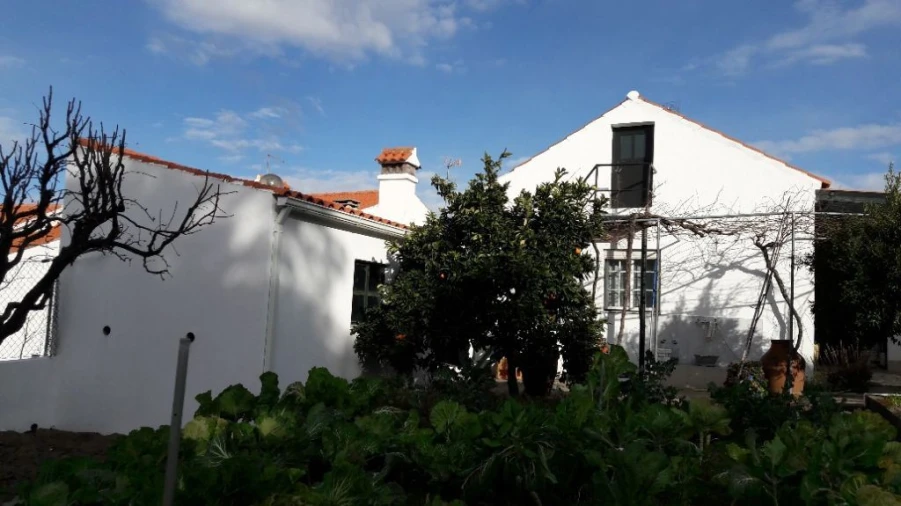 Moradia T3 para Venda em Santo Antonio das Areias Foto 5