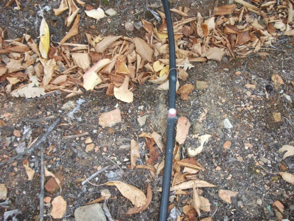 Terreno Agricola ou Rústico para Venda em Alcongosta Foto 8