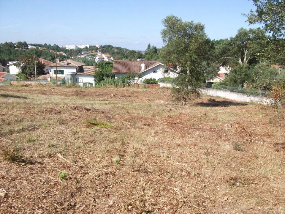 Terreno Agricola ou Rústico para Venda em Eiras e São Paulo de Frades Foto 3